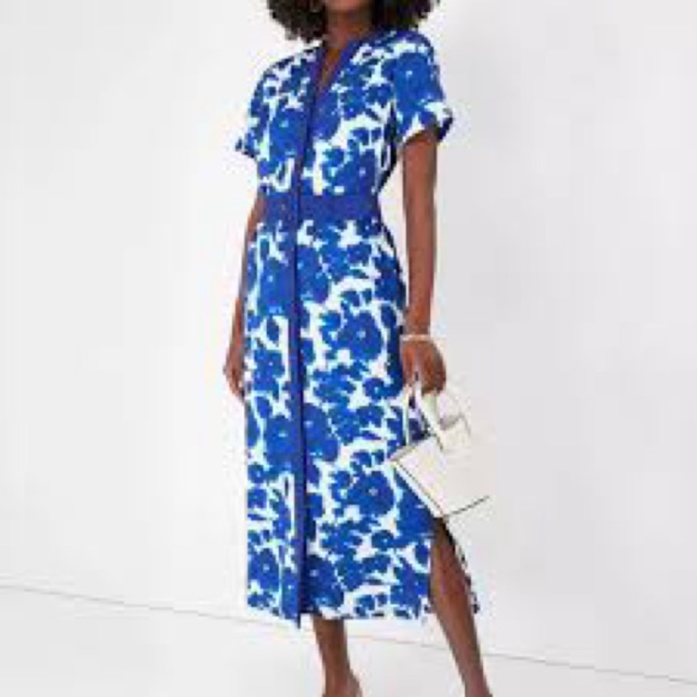 Tuckernuck Blue and White V-Neck Flutter Sleeve Maxi Dress